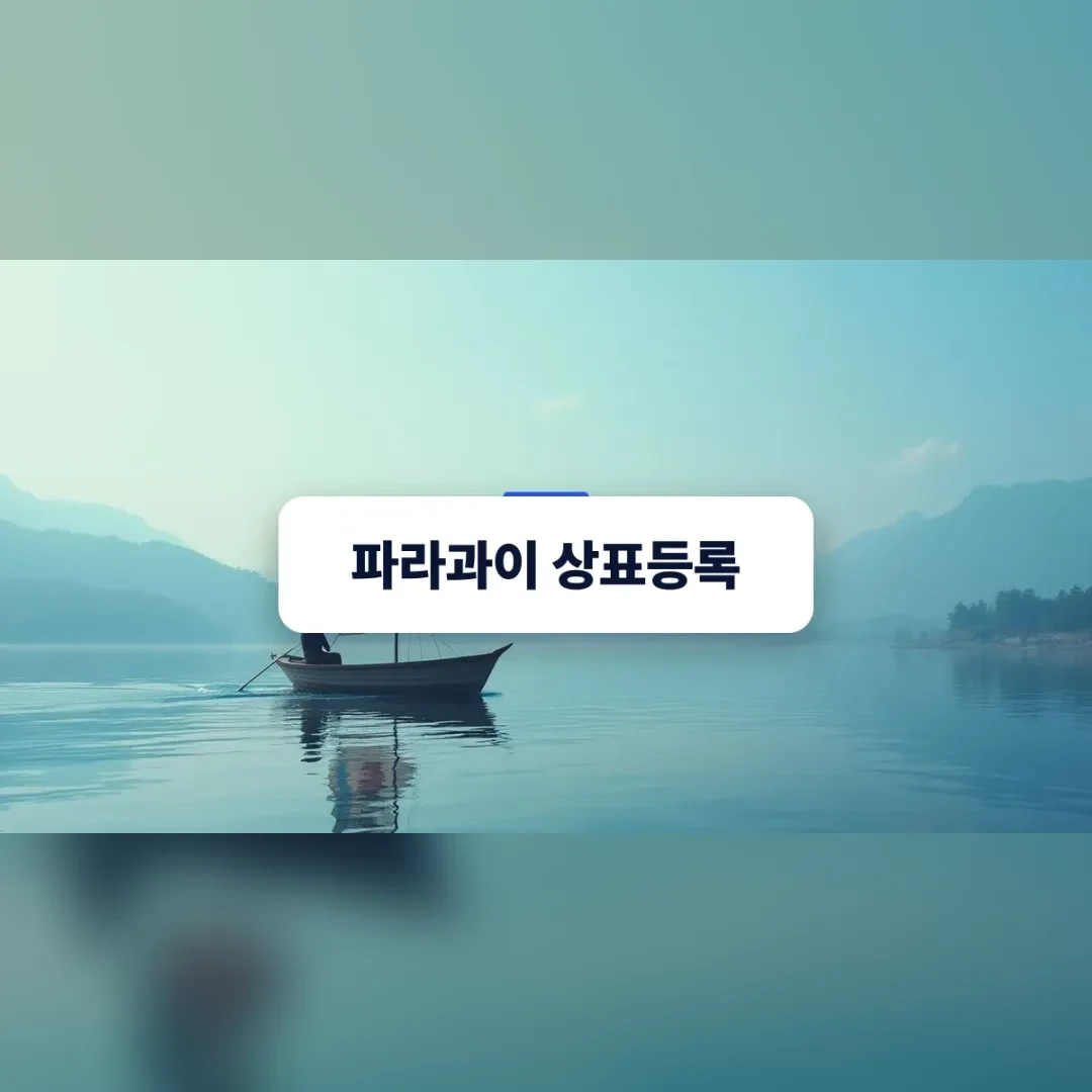 파라과이 상표등록 — 잔잔한 호수 위에 떠 있는 작은 나룻배